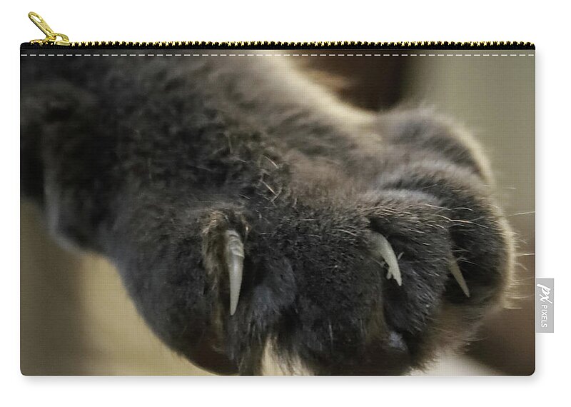 Cat Zip Pouch featuring the photograph Talk to the Paw by M Kathleen Warren