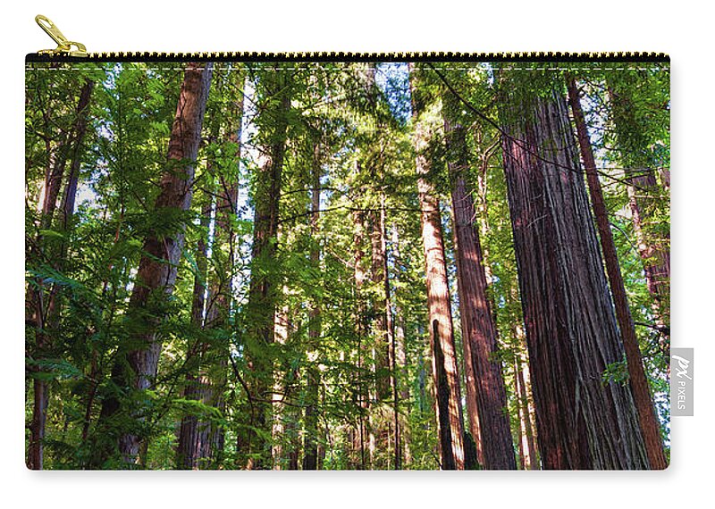 California Zip Pouch featuring the photograph Tall California Redwoods 920 by Dan Carmichael