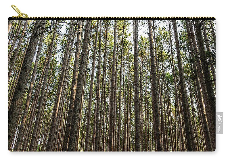 Trees Zip Pouch featuring the photograph Tall Red Pine Forest by Dale Kincaid