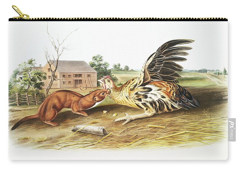 American Zip Pouch featuring the mixed media Tawny Weasel. John Woodhouse Audubon Illustration by World Art Collective