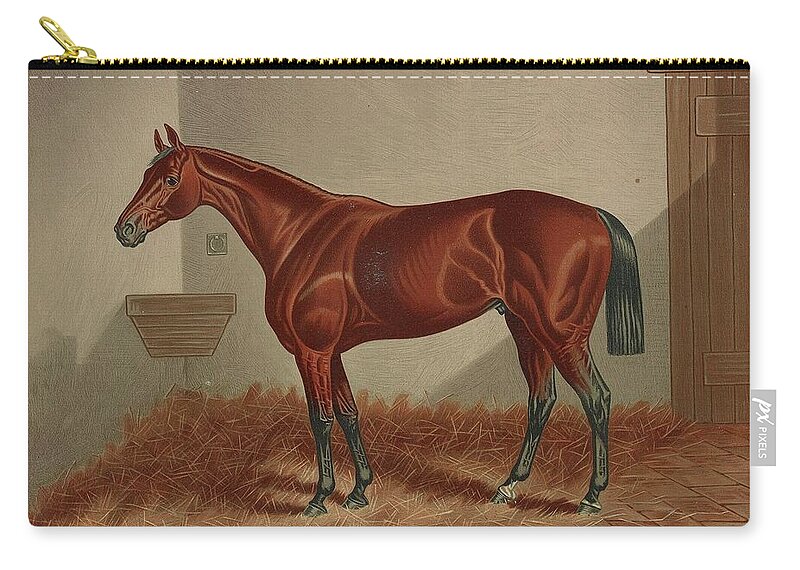 Horse Zip Pouch featuring the photograph Tempted by Popular Art