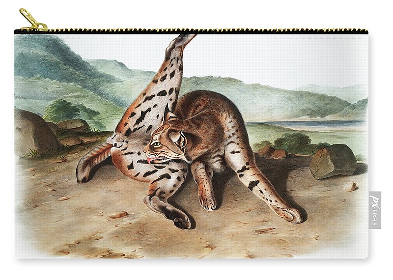 American Animals Zip Pouch featuring the mixed media Texan Lynx. John Woodhouse Audubon Illustration by World Art Collective