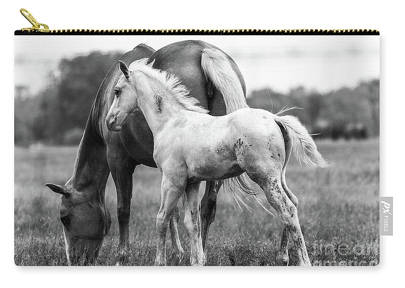  Zip Pouch featuring the photograph Texas Ranch by Vincent Bonafede
