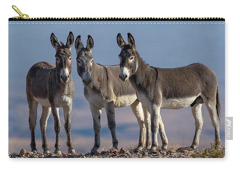 Wild Burros Zip Pouch featuring the photograph The 3 Amigos by Mary Hone