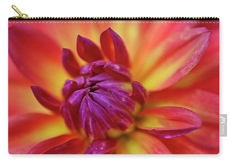 Flower Zip Pouch featuring the photograph The Amazing Beauty Of Nature by Scott Burd
