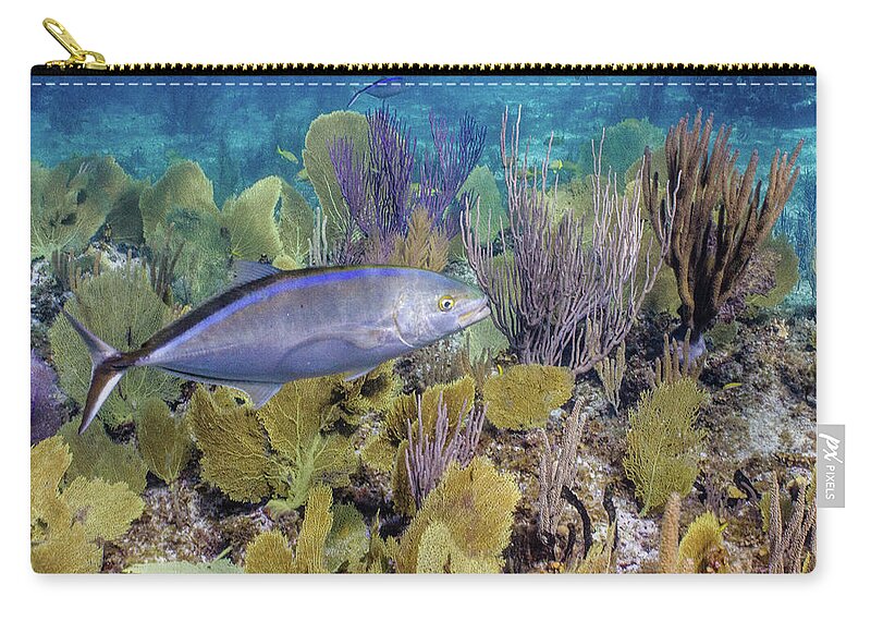 Animals Carry-all Pouch featuring the photograph The Bar Crossing by Lynne Browne
