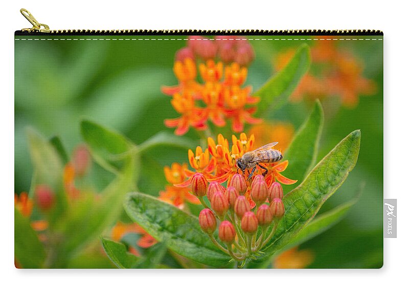 Color Zip Pouch featuring the photograph The Bee and the Butterfly by Linda Bonaccorsi