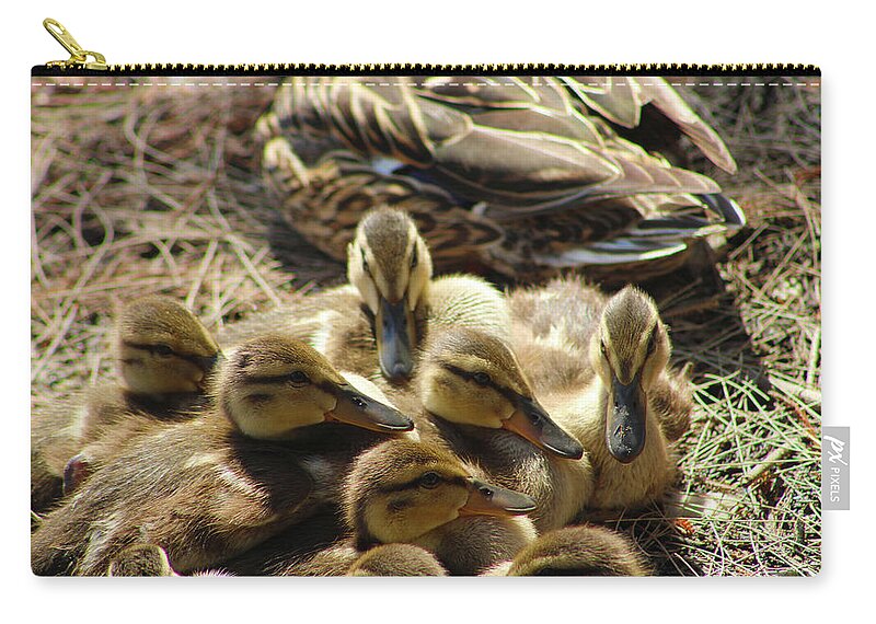 Animals Zip Pouch featuring the photograph The Beginnings of Life by Marcus Jones