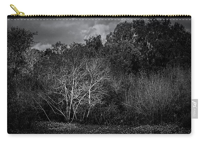 Blackandwhite Zip Pouch featuring the photograph The Birch Tree in Autumn by Mike Schaffner