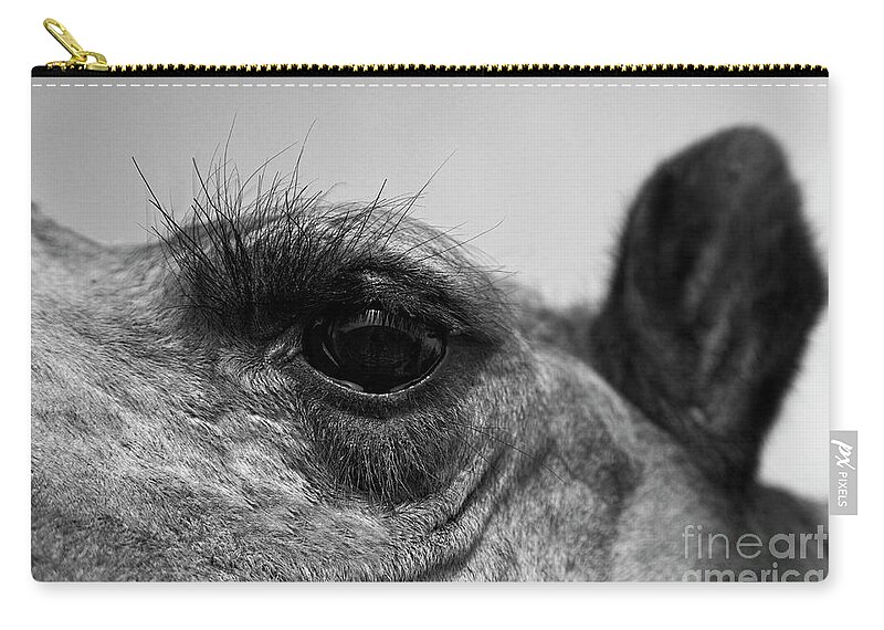 Craig Lovell Zip Pouch featuring the photograph The Camels Eye by Craig Lovell