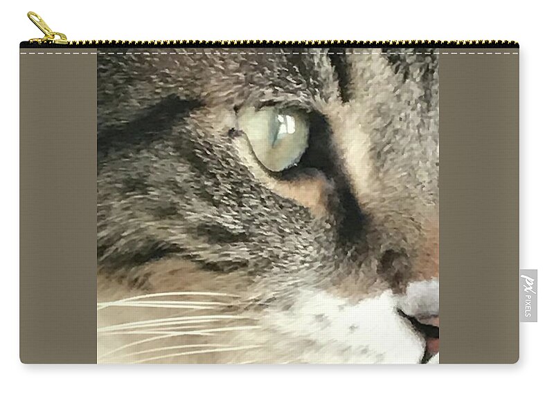 Cat Zip Pouch featuring the photograph The Cat by Jan Gelders