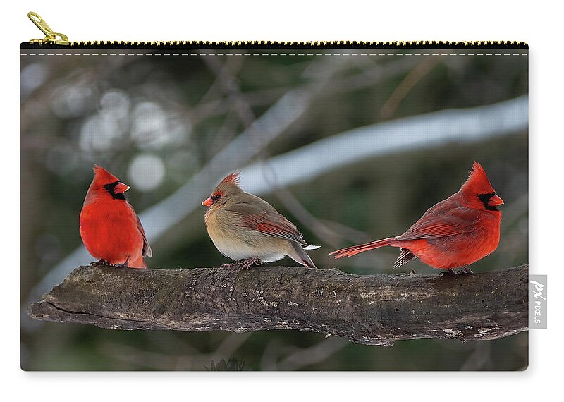 Cardinal Carry-all Pouch featuring the photograph The College of Cardinals by Regina Muscarella