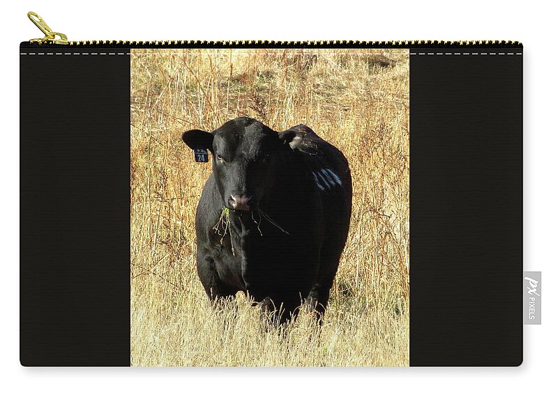Angus Zip Pouch featuring the photograph The Colonel by Katie Keenan