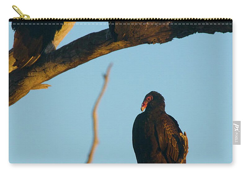 Animal Carry-all Pouch featuring the photograph The Committee by Melissa Southern