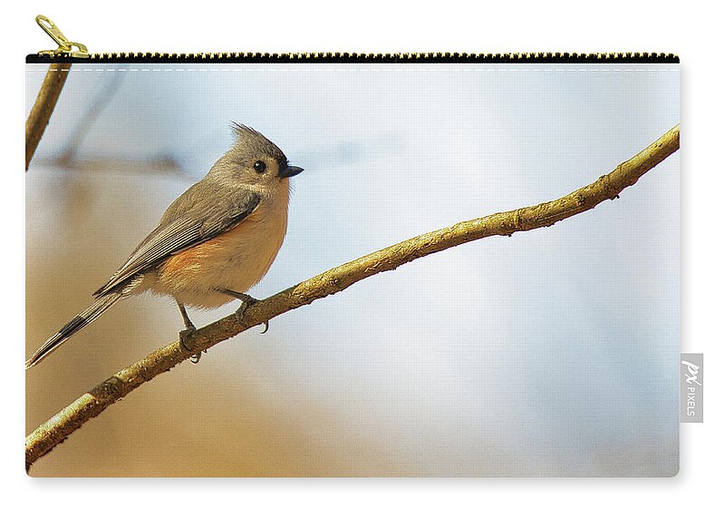 Tufted Titmouse Zip Pouch featuring the photograph The Cute Tufted Titmouse by Scott Burd
