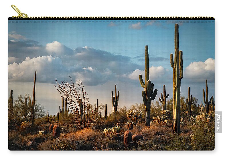 Arizona Zip Pouch featuring the photograph The Desert After The Rain by Saija Lehtonen