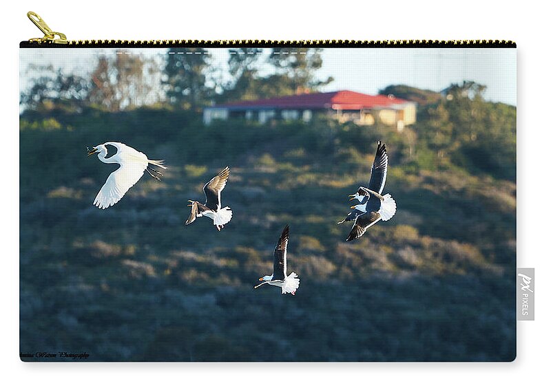 Egret Zip Pouch featuring the photograph The Egret Chase by Tahmina Watson