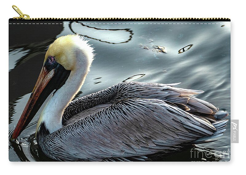 Pelican Zip Pouch featuring the photograph The Elegant Brown Pelican by Sandra J's