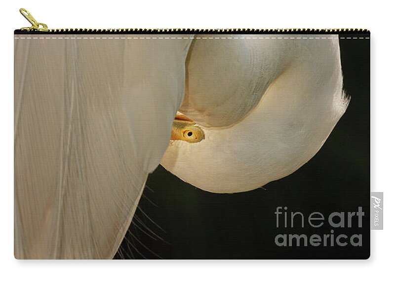 Alligator Farm Rookery Zip Pouch featuring the photograph The Eye by Maresa Pryor-Luzier
