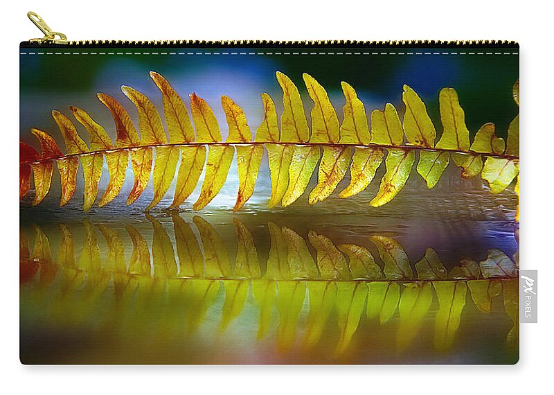 Boston Fern Zip Pouch featuring the photograph The Fall Of Boston by Rene Crystal