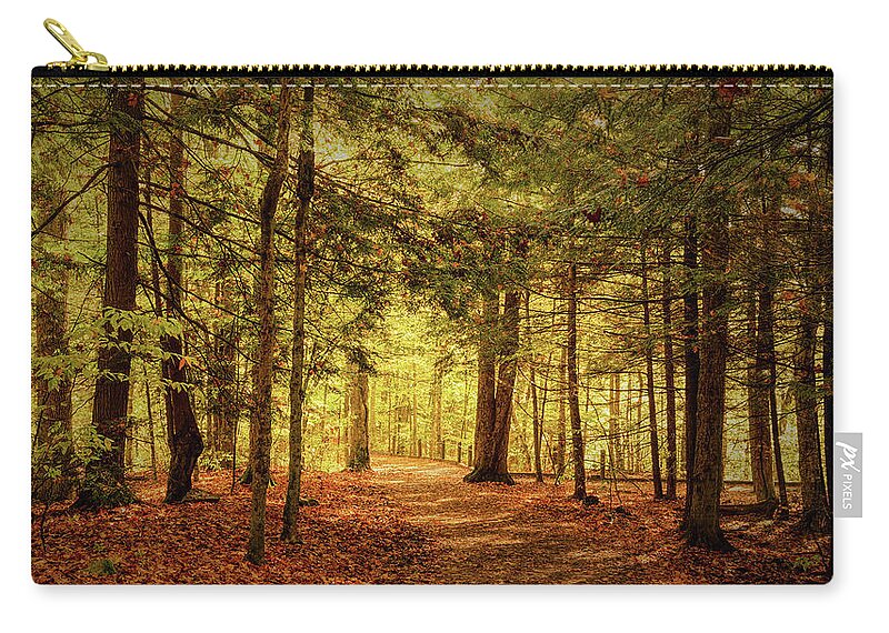 Trail Zip Pouch featuring the photograph The Falls Trail by Rod Best