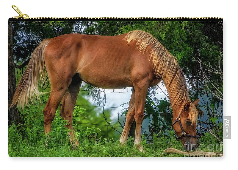 Horse Zip Pouch featuring the photograph The Farm Horse by Shelia Hunt