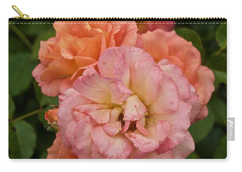 Roses Carry-all Pouch featuring the photograph The Five Roses Greeting Card by Richard Cummings