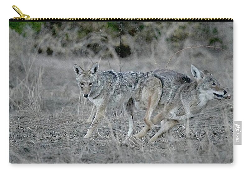 Coyote Zip Pouch featuring the digital art The Get Away by Tammy Keyes