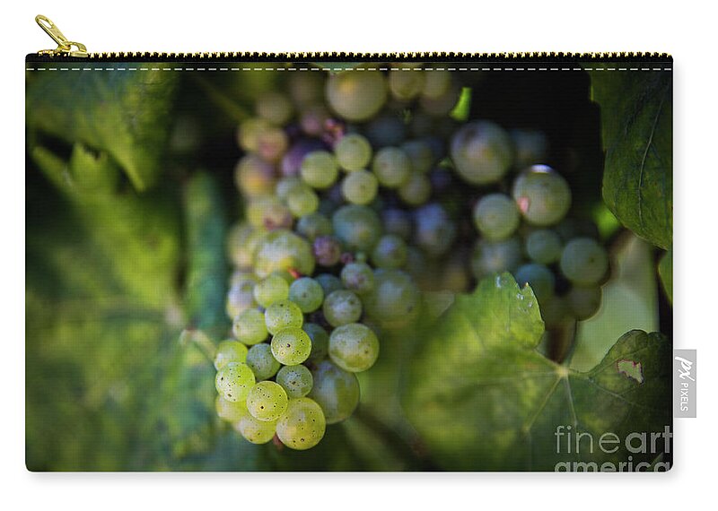 Grapes Zip Pouch featuring the photograph The Grapes of Wine by Erin Marie Davis