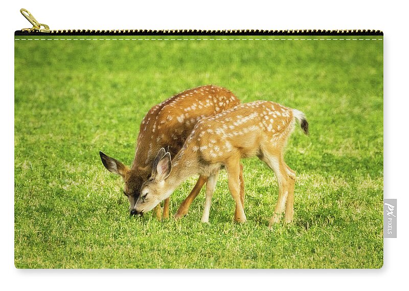 Grass Zip Pouch featuring the photograph The Grass is Greener by Mike Lee