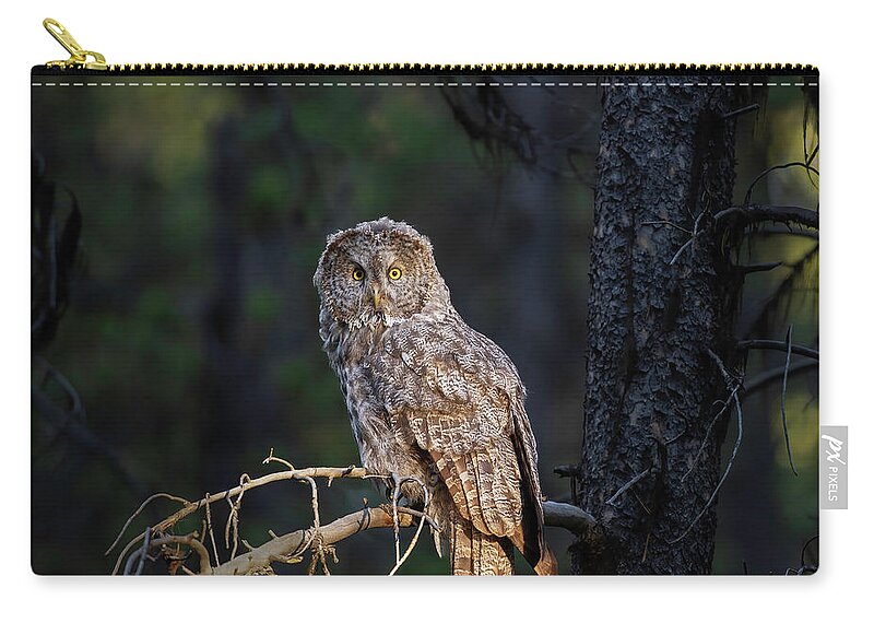  Yellowstone Zip Pouch featuring the photograph The Grey by Gary Langley