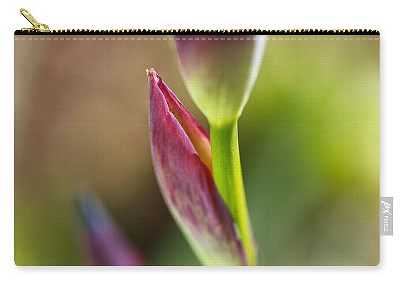 Iridaceae Zip Pouch featuring the photograph The Iris Leaf by Joy Watson