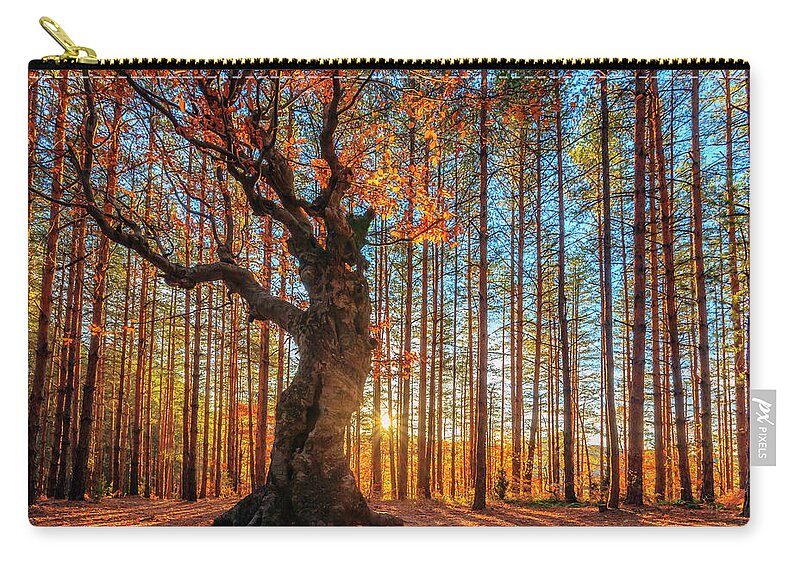 Belintash Carry-all Pouch featuring the photograph The King Of the Trees by Evgeni Dinev