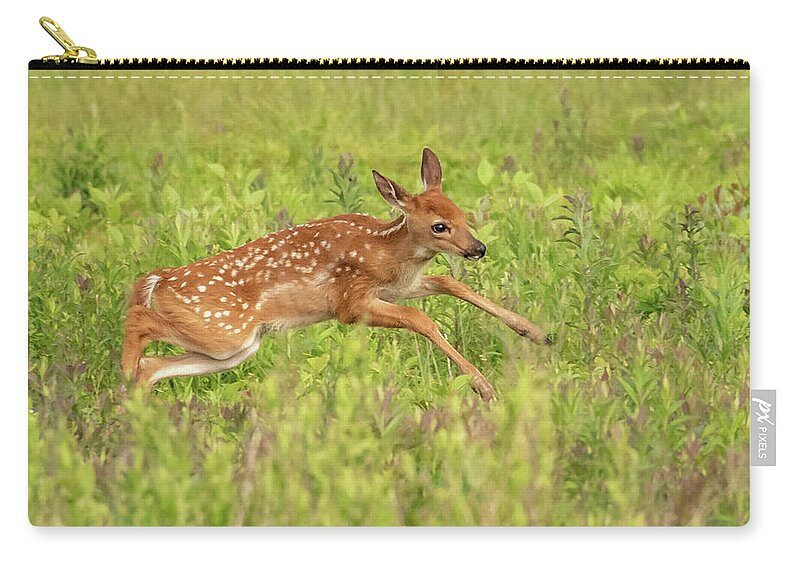 Big Meadows Zip Pouch featuring the photograph The Leaping Fawn by Lara Ellis