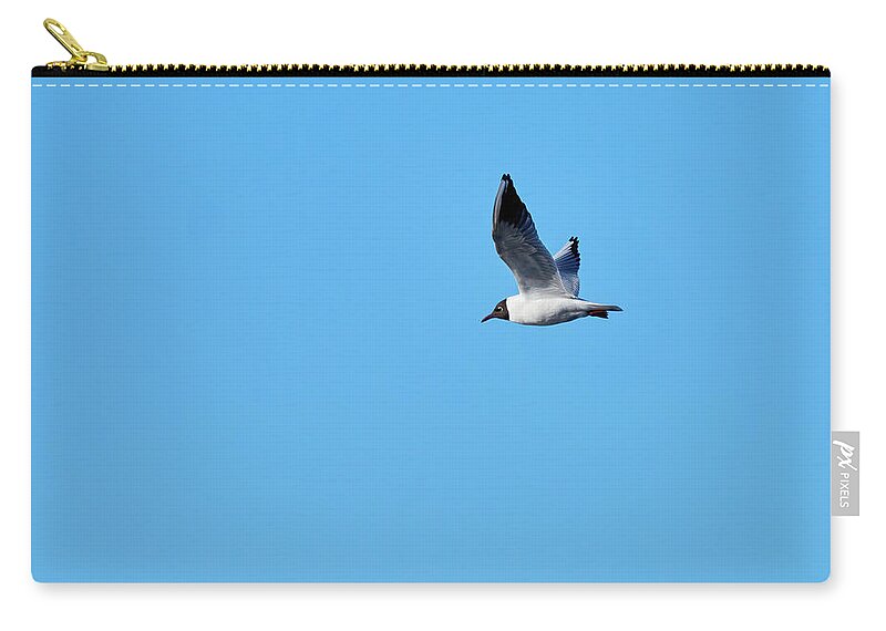 Chroicocephalus Ridibundus Zip Pouch featuring the photograph The light blue sky. Black-headed gull by Jouko Lehto