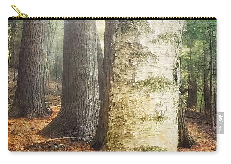 Birch Tree Vaughan Woods Forest Fall Sun Sunlight Light Copper Autumn Zip Pouch featuring the photograph The Light in the Wood by Raena Wilson
