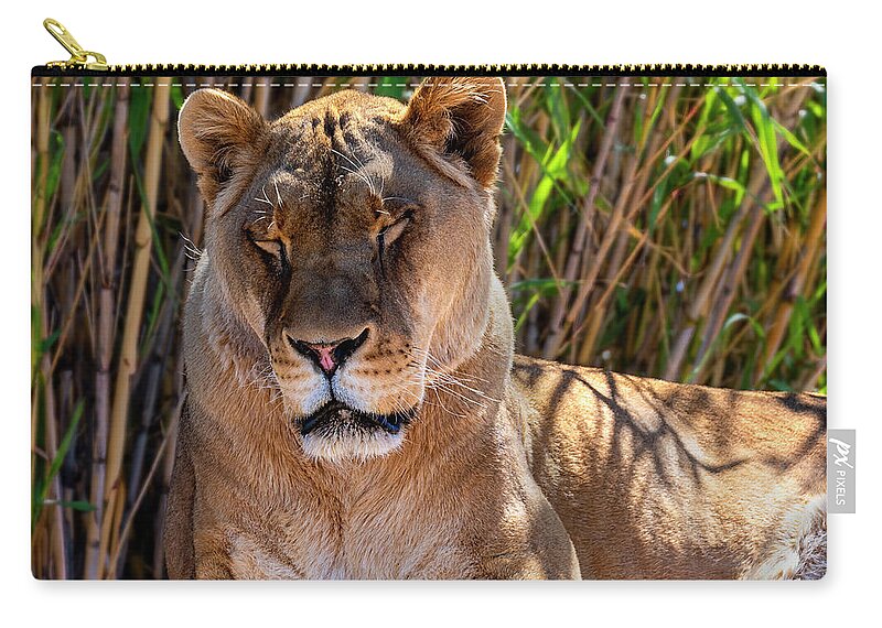  Carry-all Pouch featuring the photograph The Lion Sleeps Tonight by Al Judge