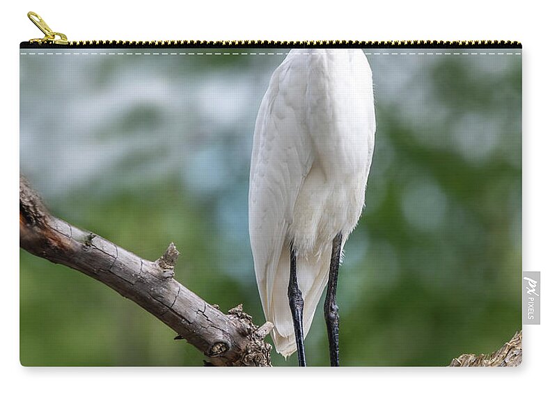 Egret Carry-all Pouch featuring the photograph The Magestic Egret by Regina Muscarella