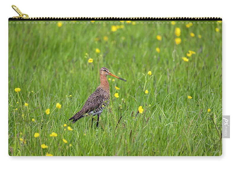Nature Carry-all Pouch featuring the photograph The Meadow Bird The Godwit by MPhotographer