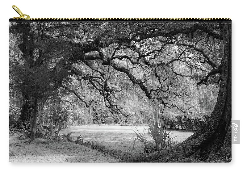 Beauty Zip Pouch featuring the photograph The Mighty Oaks 2 bw by Dimitry Papkov