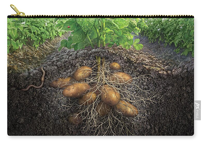 Potato Carry-all Pouch featuring the digital art The Mighty Russet by Mark Fredrickson