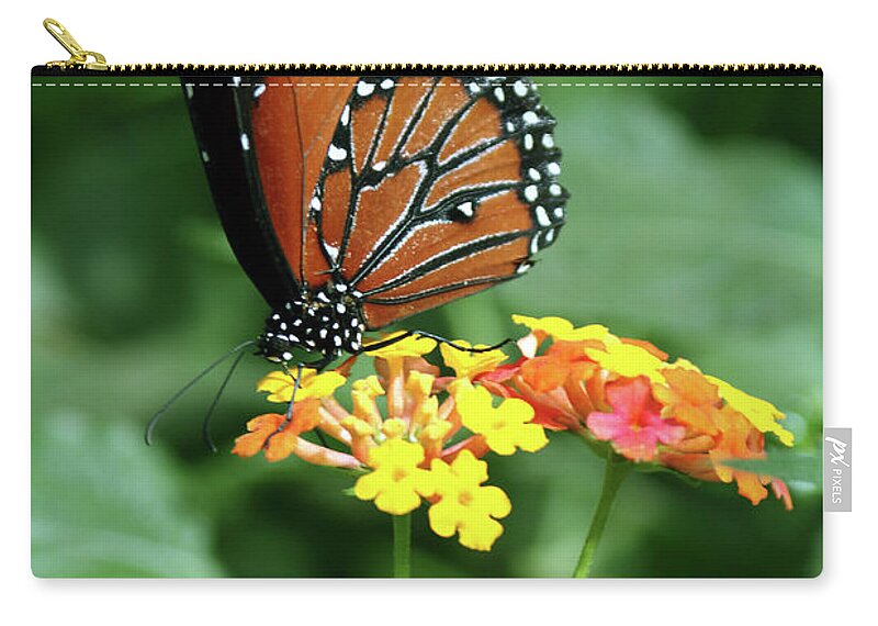 Insect Zip Pouch featuring the photograph The Monarch by Jim Feldman