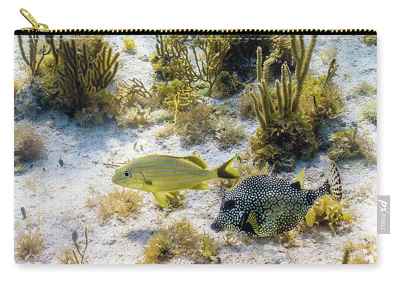 Animals Carry-all Pouch featuring the photograph The Odd Couple by Lynne Browne