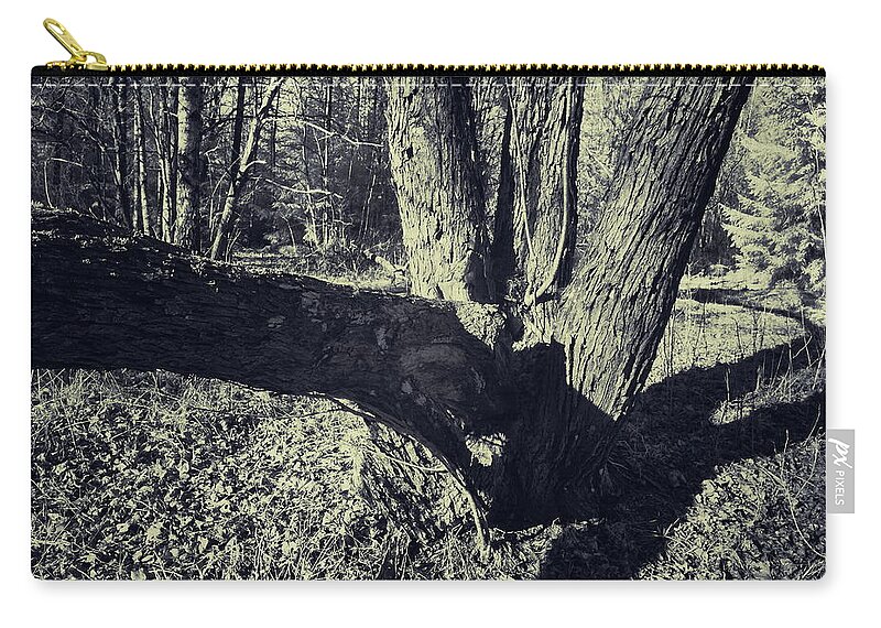 Finland Zip Pouch featuring the photograph The old mapple ir by Jouko Lehto