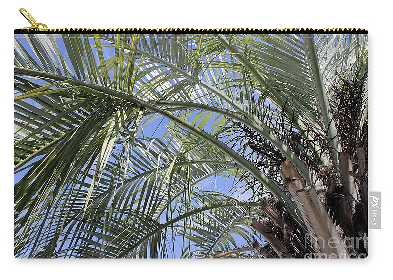 Palm Tree Zip Pouch featuring the photograph The Palm Tree by Roberta Byram