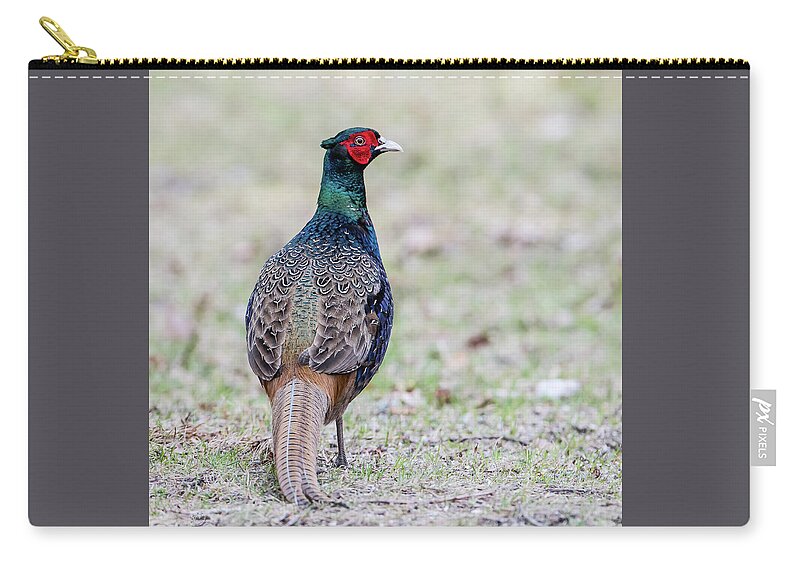 Pheasant Carry-all Pouch featuring the photograph The Pheasant Beauty s back by Torbjorn Swenelius