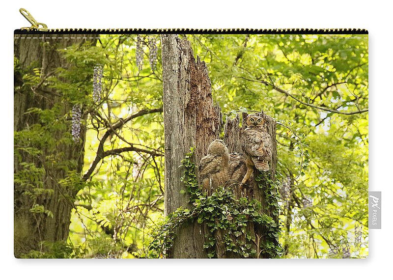 Bubo Zip Pouch featuring the photograph The prettiest owl nest by Heather King