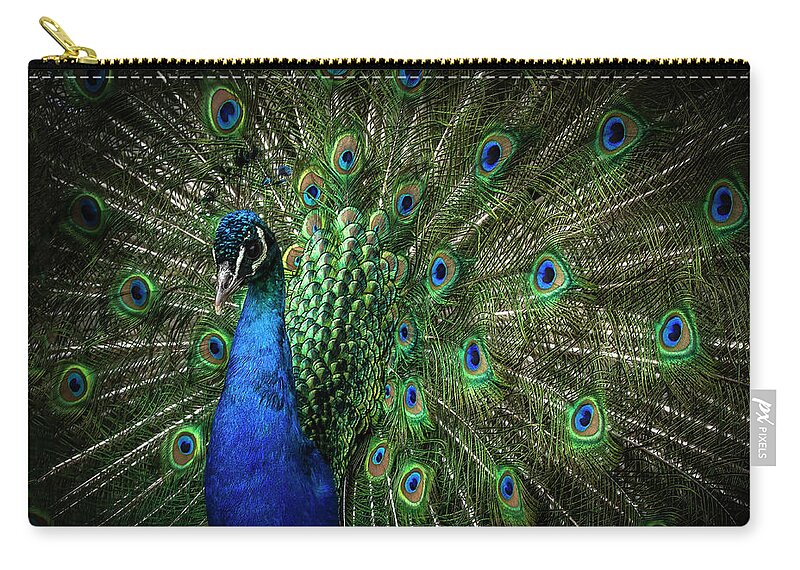 Peacock Zip Pouch featuring the photograph The proud peacock by Marjolein Van Middelkoop