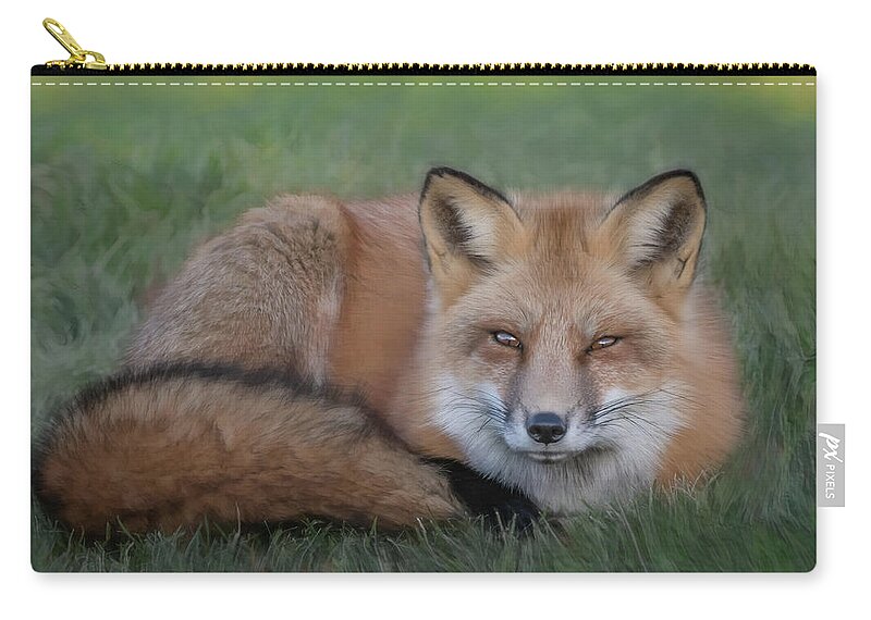 Red Fox Zip Pouch featuring the photograph The Red Fox by Sylvia Goldkranz