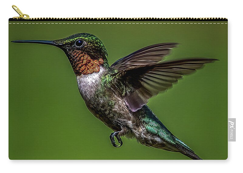 Animal Zip Pouch featuring the photograph The Ruby by Brian Shoemaker
